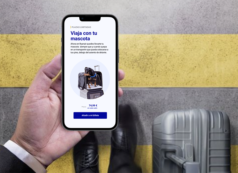 Pet on board — service design